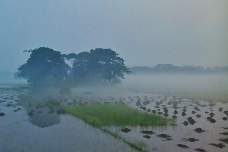 গুঁড়ি গুঁড়ি বৃষ্টির আভাস