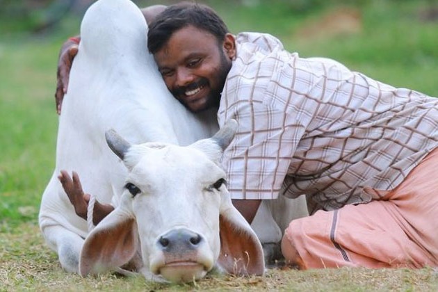 ভারতে কাউ হাগ ডে প্রত্যাহার