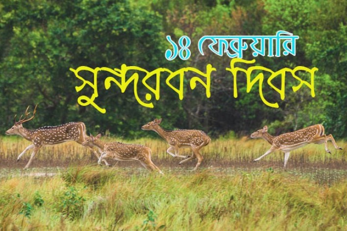 আজ সুন্দরবন দিবস