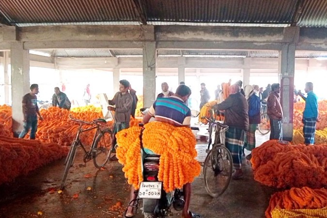 দু’মাসে শত কোটি টাকার ফুলের ব্যবসা ঝিনাইদহে