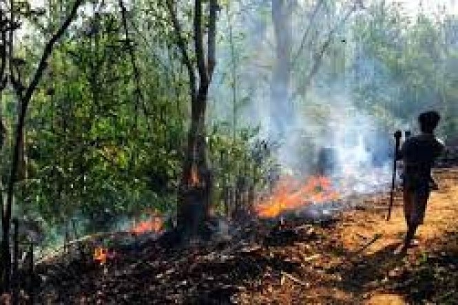 রাজকান্দি বনে আগুন