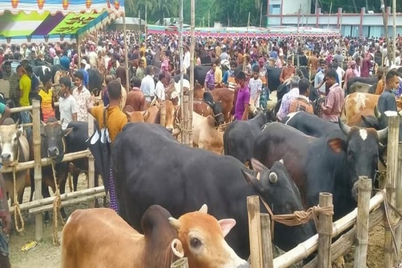 পশুর হাটে জাল নোট শনাক্তে বুথ বসাতে ব্যাংকগুলোকে নির্দেশ