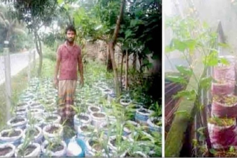 জয়পুরহাটে বস্তায় আদা চাষ করে জনপ্রিয়তার পাশাপাশি স্স্বাবলম্বী হচ্ছেন কৃষকরা