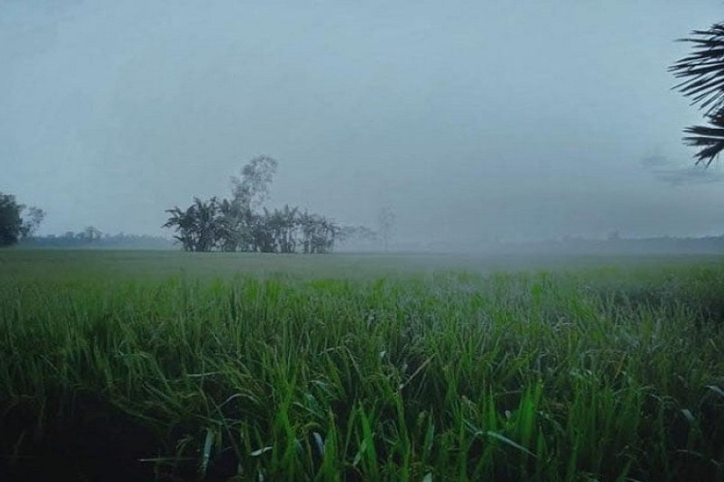 প্রকৃতিতে ঋতুবদলের আয়োজন শুরু