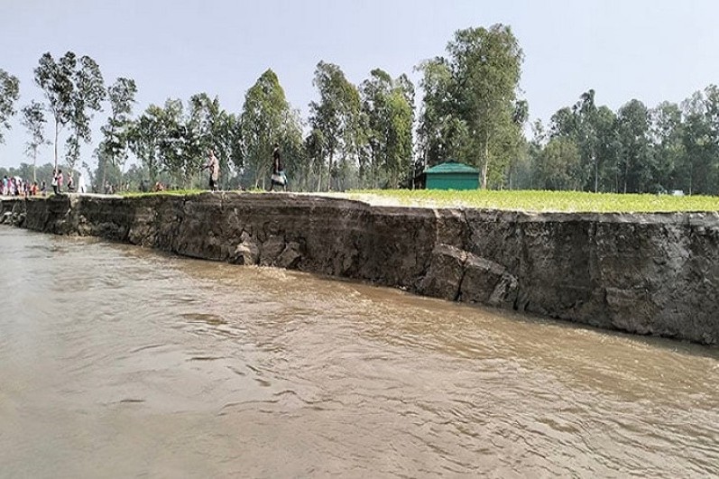 কুড়িগ্রামের  উলিপুরে  ব্রহ্মপুত্র নদের তীব্র ভাঙন