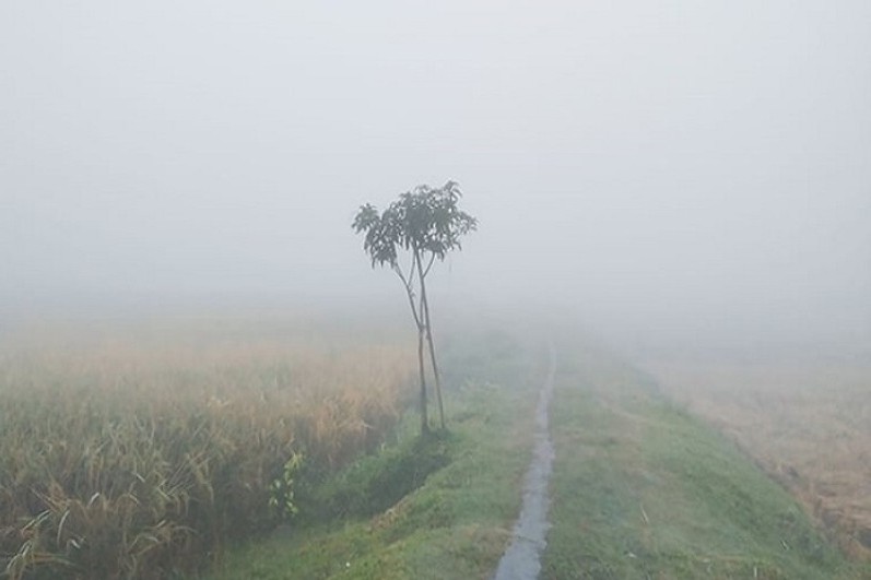 লালমনিরহাটে  কুয়াশা-হিমশীতল বাতাসের প্রবাহ বাড়িয়ে দিচ্ছে শীতের তীব্রতা