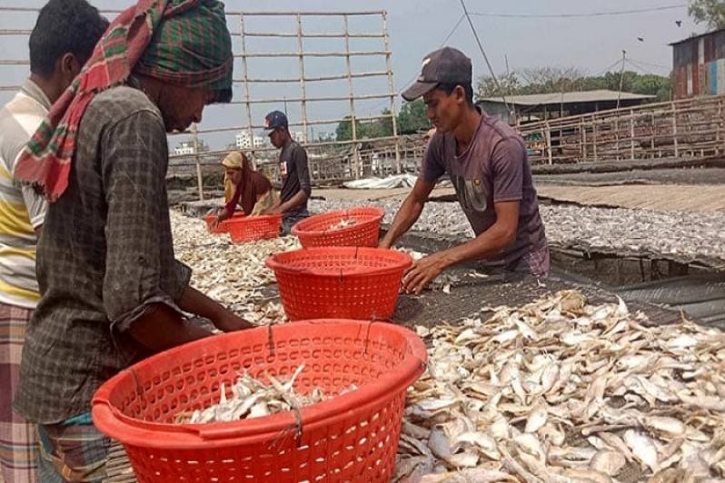 সম্ভাবনাময় রপ্তানি খাত চট্টগ্রামের শুঁটকি দেশ-বিদেশে বাড়ছে কদর