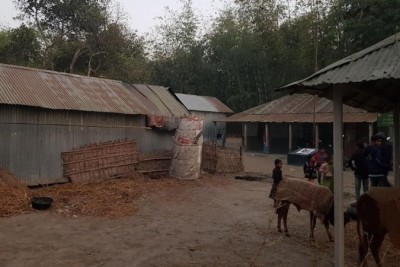 বিদ্যালয়ের মাঠ দখল করে বাড়ি ও গোয়াল ঘর নির্মাণ