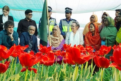 তেঁতুলিয়ায় নেদারল্যান্ডসের টিউলিপ দেখতে ডাচ রাষ্ট্রদূত