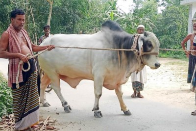 প্রধানমন্ত্রীর প্রতি কৃষক দম্পতির অকৃত্রিম ভালোবাসা