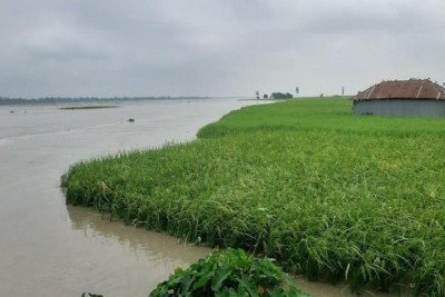 তিস্তা চরের শতশত হেক্টর জমির ফসল পানির নিচে