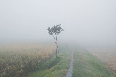 লালমনিরহাটে  কুয়াশা-হিমশীতল বাতাসের প্রবাহ বাড়িয়ে দিচ্ছে শীতের তীব্রতা