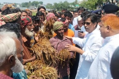 মলিন মুখে পচা ধান মন্ত্রীকে দেখালেন হাওরের কৃষক