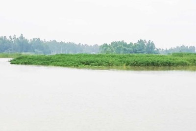 টানা বৃষ্টিপাত ও উজানের ঢলে কুড়িগ্রামে বৃদ্ধি পেয়েছে নদ-নদীর পানি