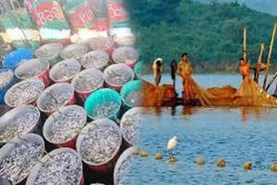 কাপ্তাই হ্রদে প্রথম দিনেই ১৯৩ মেট্রিক টন মাছ আহরণের রেকর্ড
