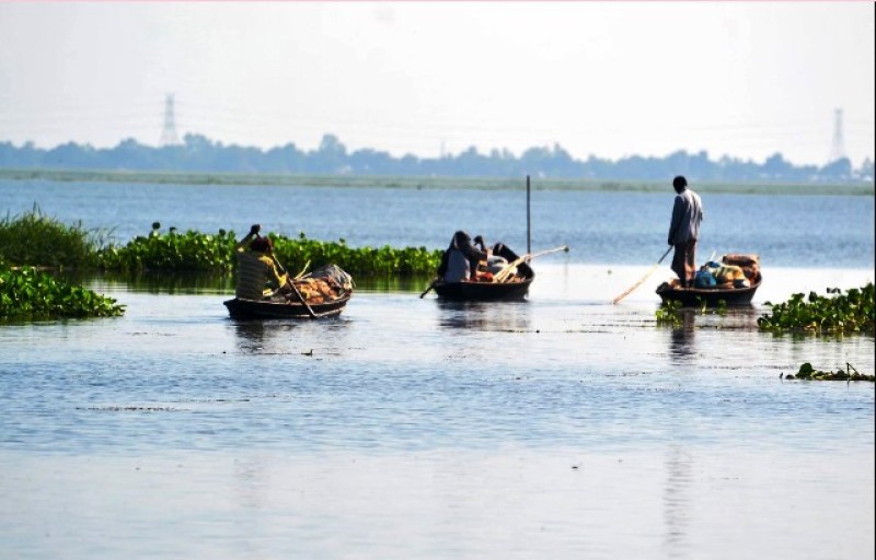  হাঁসাইগাড়ী বিলে উপচে পড়া ভীড়